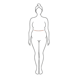 Line drawing of the apple body shape