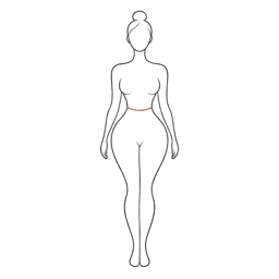 Line drawing of the hourglass body shape